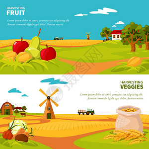 农业模板农场横幅平水平横幅美丽的农场景观蔬菜水果收获矢量插图插画