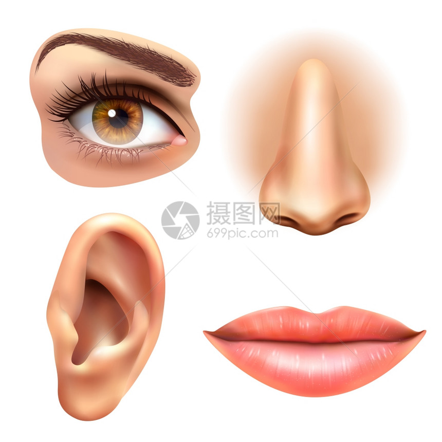 眼耳唇鼻图标人脸部分4感觉器官图标方形收集眼鼻口耳朵现实矢量插图图片