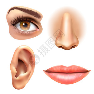 儿童感觉统合眼耳唇鼻图标人脸部分4感觉器官图标方形收集眼鼻口耳朵现实矢量插图插画