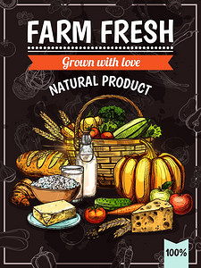 南瓜牛奶农产品海报农产品海报与健康蔬菜,水果,牛奶,奶酪包矢量插图插画