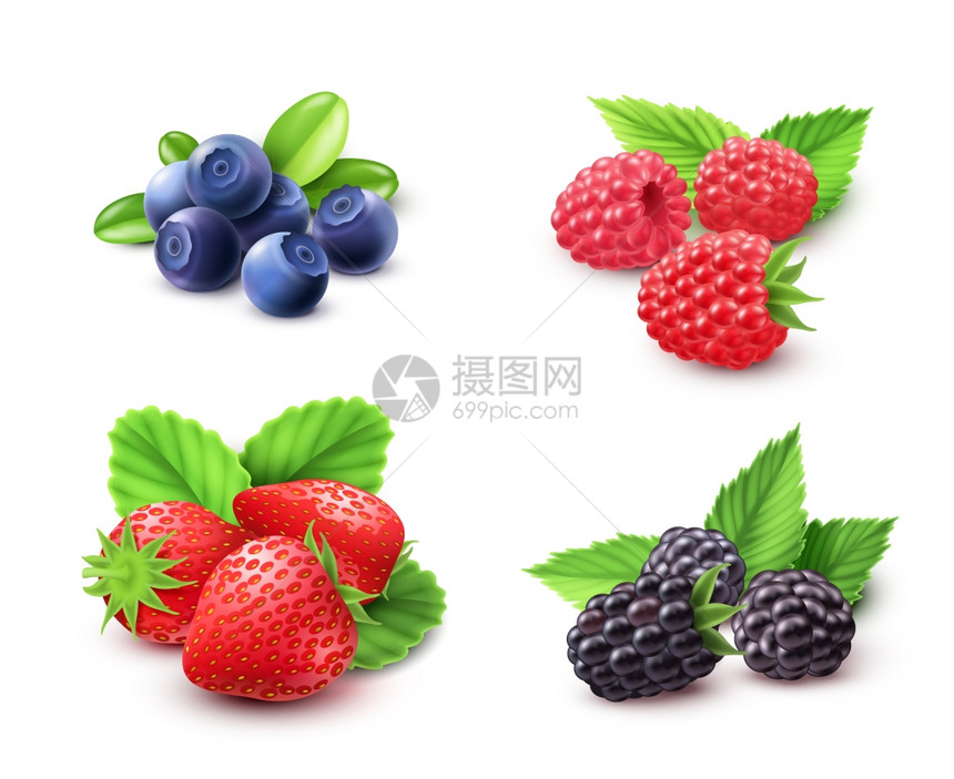 浆果现实主义套装浆果写实草莓覆盆子黑莓分离矢量插图图片