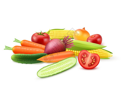 花园黄瓜五颜六色的新鲜蔬菜模板彩色新鲜蔬菜模板与黄瓜番茄甜菜胡萝卜洋葱玉米分离矢量插图插画