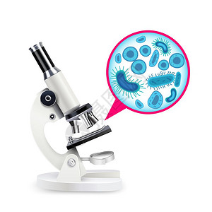 白色写实显微镜白色写实显微镜成与科学仪器倍增放大细胞矢量插图插画