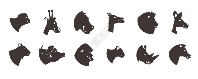 轮廓收集动物头部轮廓集动物图标收集的十个侧视图的野生动物头部空白背景矢量插图插画