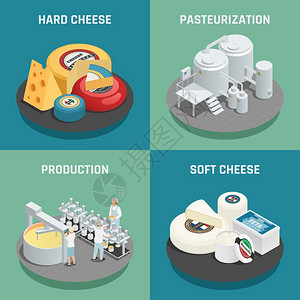 图坦卡门奶酪生产等距图标软硬奶酪生产4等距图标正方形与巴氏菌过程隔离矢量插图插画