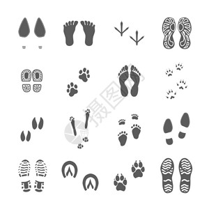各种脚印都黑色的人类鞋类鞋底印记,鸟类,脚动物爪子,黑色版画,收集白色背景矢量插图背景图片