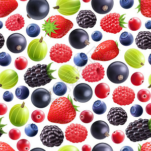 草莓蔓越莓逼真的浆果无缝图案真实的浆果无缝图案与黑色醋栗,覆盆子,草莓,黑莓蓝莓白色背景矢量插图插画