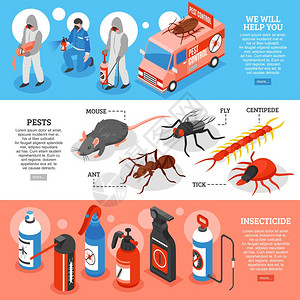 蜈蚣科害虫防治等距水平横幅等距三维水平横幅与害虫防治服务人员种类的虫剂害虫分离矢量插图插画