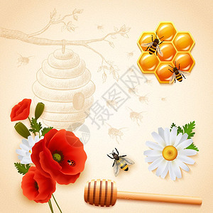 飞行蜂蜜彩色蜂蜜合物彩色蜂蜜成与红花蜂窝蜂窝飞行蜜蜂光背景矢量插图插画