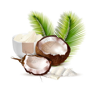 白色椰子椰子现实插图成熟开裂的椰子棕榈叶碗黄油白色背景现实矢量插图插画