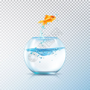 浓汤富胶鱼煮鱼水族馆成鱼跳出碗成与现实的水族馆容器金鱼透明的背景矢量插图插画