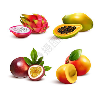 完整的芒果和芒果切片成熟的热带水果成熟的热带水果切片真实的与芒果火龙果木瓜西番莲矢量插图的孤立图像插画