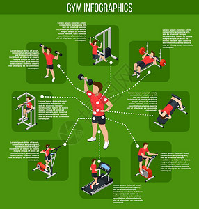 彩色健身房信息图彩色健身房信息图同肌肉群影响的运动类型矢量图背景图片