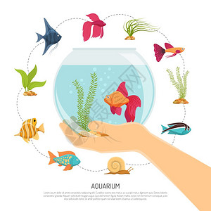 鱼缸图标鱼缸手成水族馆背景与各种鱼类海草的平图像与可编辑的文本描述矢量插图插画