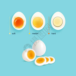 鸡蛋特写煮鸡蛋阶段设定煮鸡蛋的地理与三个说明阶段的鸡蛋沸腾与切片文本标题矢量插图插画