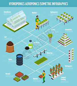 水培信息图集水培等距信息图集与肥料浇水农业符号矢量插图背景图片
