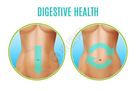 ABS消化健康现实消化健康现实,包括圆形图标与女腹部指针白色背景矢量插图插画