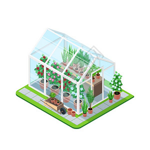 温室等距成温室等距与植物花园蔬菜分离元素矢量插图图片