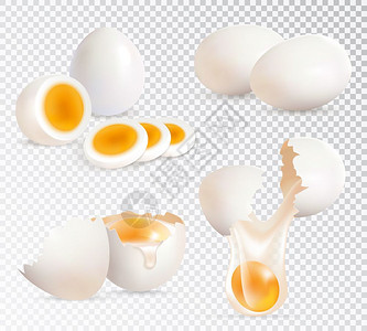 当归煮鸡蛋鸡蛋现实套真实的套煮熟未煮熟的鸡蛋分离透明的背景矢量插图插画