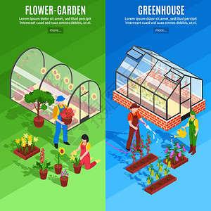 温室花园温室垂直横幅套两个垂直温室垂直横幅花卉花园温室描述矢量插图插画