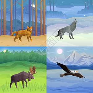 狼之子雨与雪动物背景集多边形2x2背景与野生动物鸟类其栖息地矢量插图插画