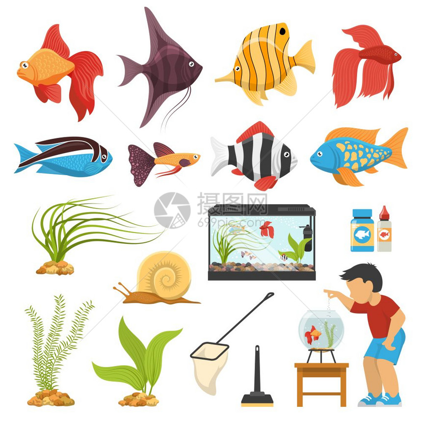 水族馆鱼集平水场与各种五颜六色的水族馆鱼类植物设备隔离白色背景矢量插图图片