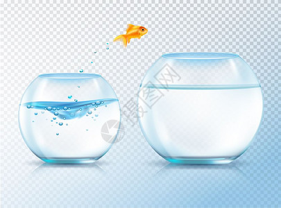 跳出鱼缸跳跃的金鲤鱼成鱼跳出碗成与现实的形象金鱼两个类似的水族馆膨胀的水矢量插图插画