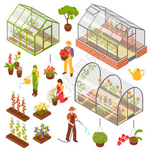 办公花园等距三维温室图标集彩色隔离等距三维温室图标与幼苗照顾植物矢量插图插画