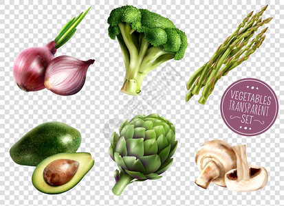 绿芦笋蔬菜透明套装逼真的蔬菜图标透明的背景与鳄梨洋葱西兰花洋蓟芦笋蘑菇矢量插图插画