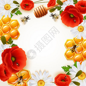白色蜂蜜蜂蜜色的背景蜂蜜色背景与五颜六色的花朵属,蜂蜜蜜蜂周围白色喜爱的矢量插图插画