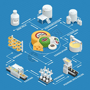 奶酪生产工厂等距流程图乳品厂奶酪生产工艺等距流程图与牛奶巴氏菌凝固压蜡成熟矢量图背景图片