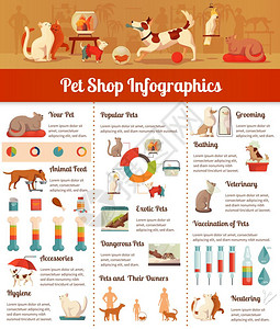 玩具狼宠物店信息摄影集宠物店信息图集与兽医卫生符号平矢量插图插画