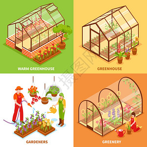 温室集四个方形等距温室集与温暖温室园丁绿色植物描述矢量插图图片