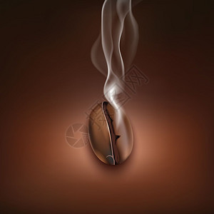 厨房烟雾咖啡豆烟雾背景海报烤咖啡豆的烟雾香气为独特的风味,真实的棕色背景海报矢量插图插画