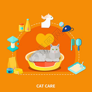 猫粮碗宠物护理平与各种宠物护理配件的猫橙色背景矢量插图插画