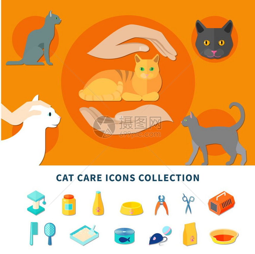 宠物护理图标宠物护理配件猫图标收集平孤立矢量插图图片