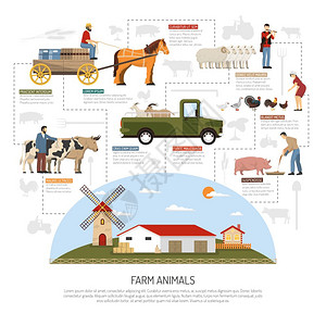 农场动物流程图农场动物的成与平图像的畜牧场景观与人,动物车辆矢量插图背景图片