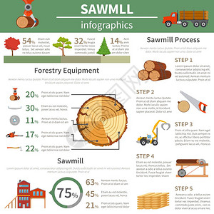 锯木厂木材平信息图锯木厂林业信息与树干剖视图专业设备图像处理矢量插图的步骤插画