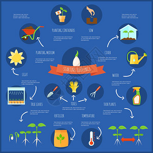 幼苗信息图集幼苗信息图集与浇水温度符号平矢量插图背景图片
