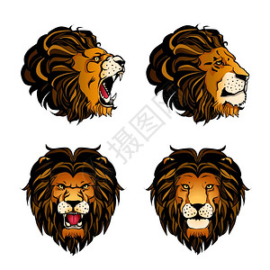 收集四个彩色狮子头彩色集合四个卡通狮子头同的角度情绪白色背景矢量插图图片