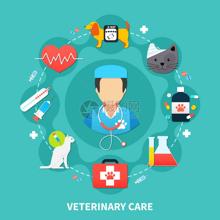 宠物护理宠物护理与兽医彩色兽医图标蓝色背景平矢量插图图片