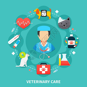 宠物护理宠物护理与兽医彩色兽医图标蓝色背景平矢量插图图片