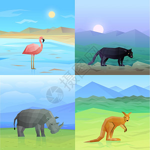 动物背景集彩色2x2背景集多角野生动物鸟类孤立矢量插图图片