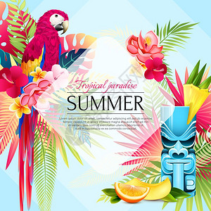 天堂之鸟夏季热带天堂背景热带夏季鹦鹉框架海报与树叶,水果片鸟类的成与装饰文本矢量插图插画