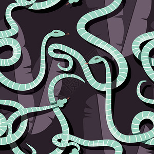 无缝图案与彩色交条纹雨林蛇,矢量插图高清图片