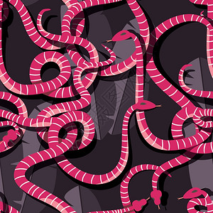 夜交藤无缝图案与彩色交条纹雨林蛇,矢量插图插画