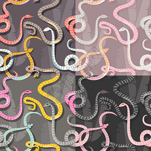 森林班夫四个无缝图案与彩色交条纹雨林蛇,矢量插图插画