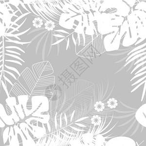夏季无缝热带模式与怪物棕榈叶植物灰色背景,矢量插图图片