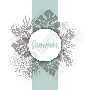 热带与深色棕榈叶植物白色背景与文字夏季,矢量插图背景图片
