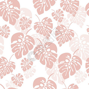 夏季无缝图案与粉红色怪物棕榈叶白色背景,矢量插图图片